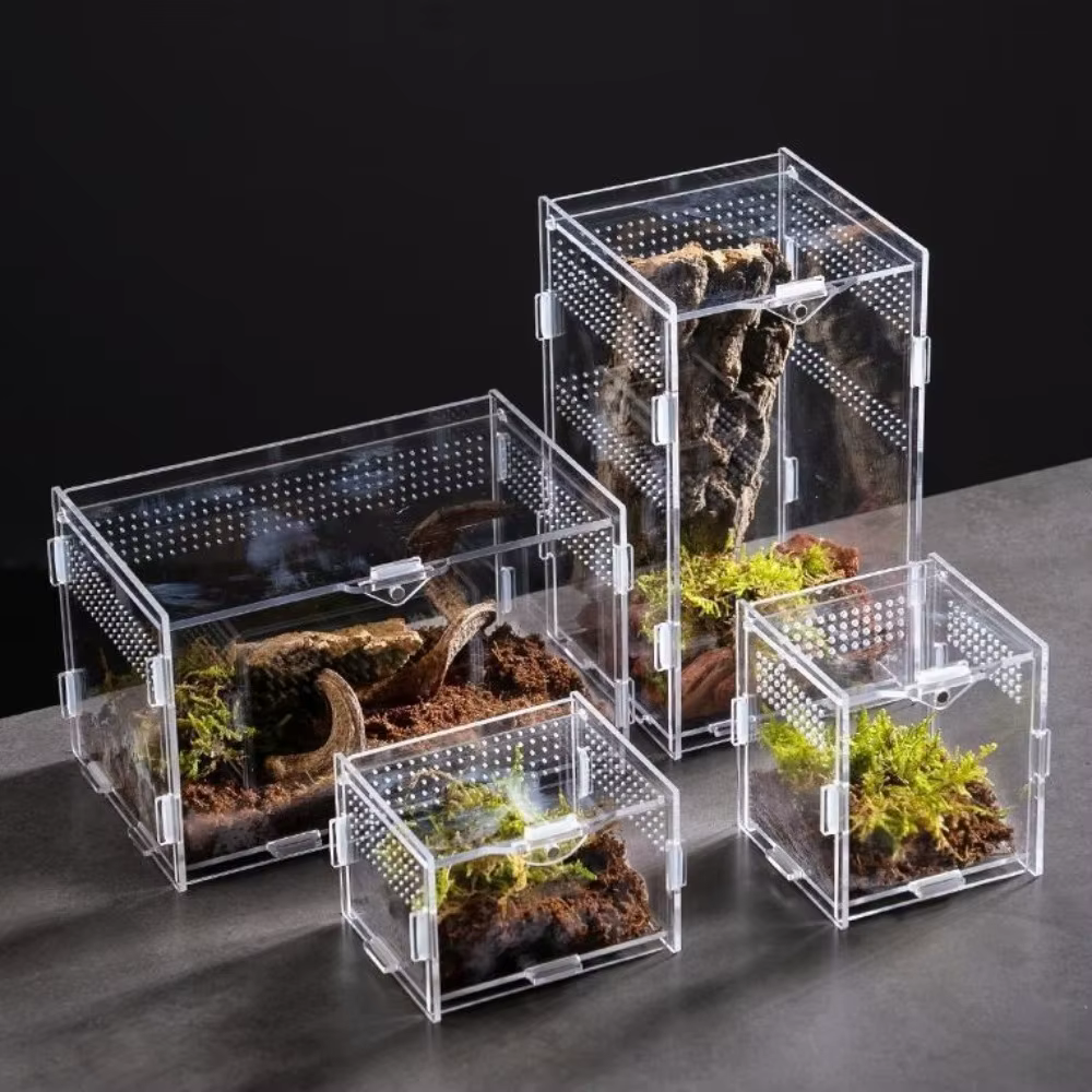 New Acrylic Reptile Habitat Anti-Escape Multiple Size Lizard Breeding Box Arboreal Clear Spider Feeding Case for Scorpion