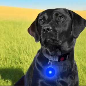 Bright LED Pet Collar Light - Hook Buckle for Night Safety of Dogs & Cats