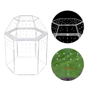 Terrarium Habitat Acrylic Mini Tarantula Enclosure All-Side Ventilation Spider Tank for Spiders Tarantulas Snail Lizard Reptiles